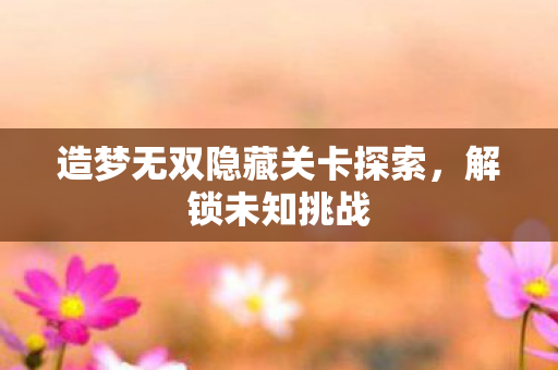 造梦无双隐藏关卡探索图片