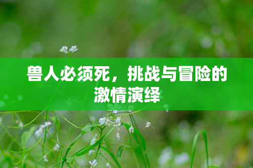 挑战与冒险的激情演绎图片