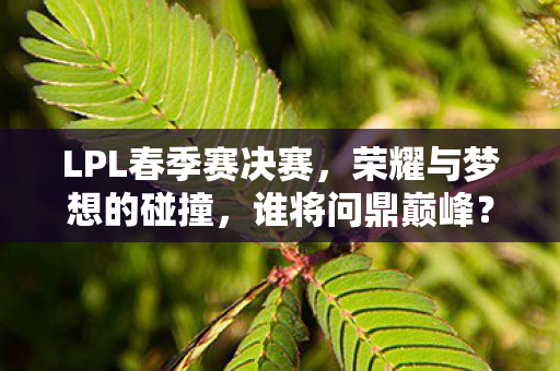 LPL春季赛决赛,荣耀与梦想的碰撞,谁将问鼎巅峰? LPL春季赛决赛,荣耀与梦想的碰撞,谁将问鼎巅峰?