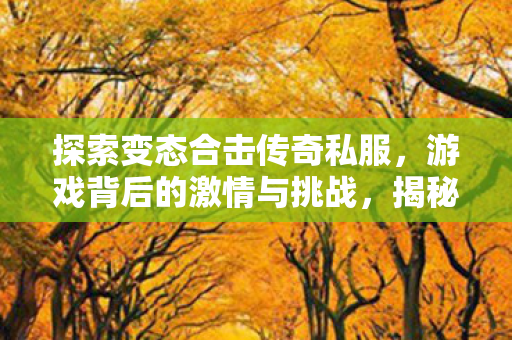 激情与挑战并存的游戏世界图片