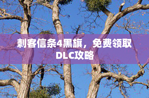 刺客信条4黑旗,免费领取DLC攻略 刺客信条4黑旗,免费领取DLC攻略