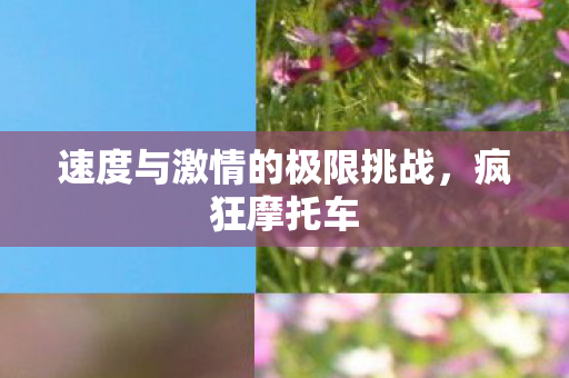 速度与激情的极限挑战,疯狂摩托车 速度与激情的极限挑战,疯狂摩托车