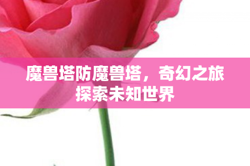 魔兽塔防魔兽塔,奇幻之旅探索未知世界 魔兽塔防魔兽塔,奇幻之旅探索未知世界