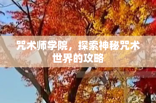 咒术师学院,探索神秘咒术世界的攻略 咒术师学院,探索神秘咒术世界的攻略