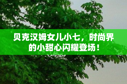 贝克汉姆女儿小七,时尚界的小甜心闪耀登场! 贝克汉姆女儿小七,时尚界的小甜心闪耀登场!