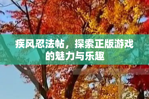 疾风忍法帖,探索正版游戏的魅力与乐趣 疾风忍法帖,探索正版游戏的魅力与乐趣