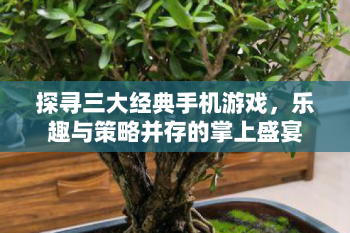 探寻三大经典手机游戏，乐趣与策略并存的掌上盛宴