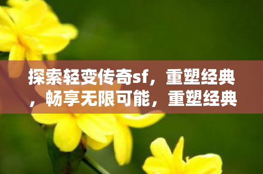 探索轻变传奇sf图片