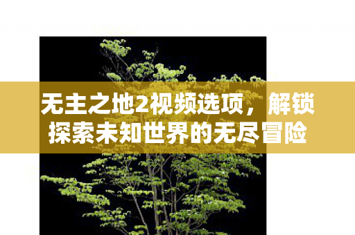 无主之地2视频选项,解锁探索未知世界的无尽冒险 无主之地2视频选项,解锁探索未知世界的无尽冒险