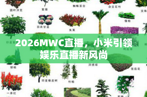 2026MWC直播,小米引领娱乐直播新风尚 2026MWC直播,小米引领娱乐直播新风尚