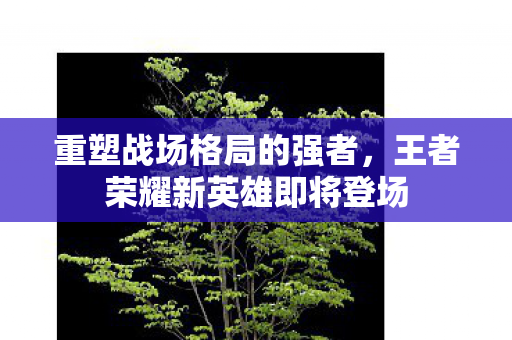 重塑战场格局的强者,王者荣耀新英雄即将登场 重塑战场格局的强者,王者荣耀新英雄即将登场