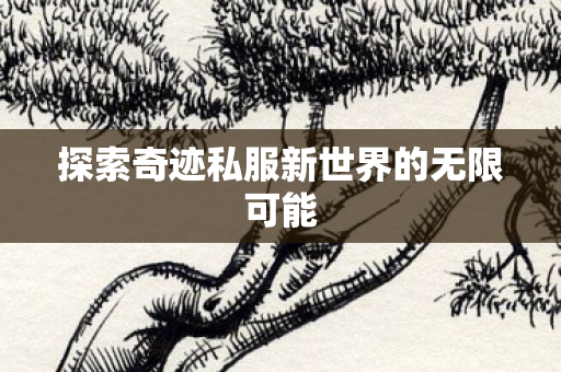 探索奇迹私服新世界的无限可能图片