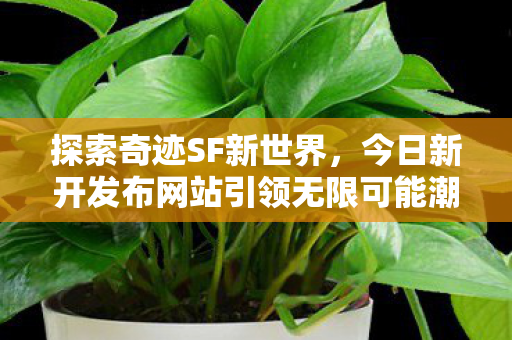今日新开发布网站引领无限可能潮流图片