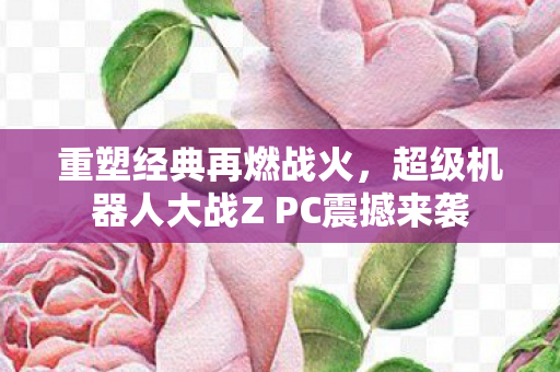 超级机器人大战Z PC震撼来袭图片