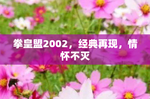 拳皇盟2002图片