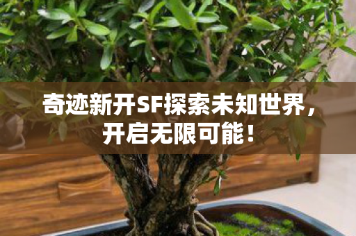 奇迹新开SF探索未知世界图片
