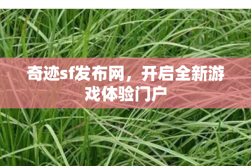 开启全新游戏体验门户图片