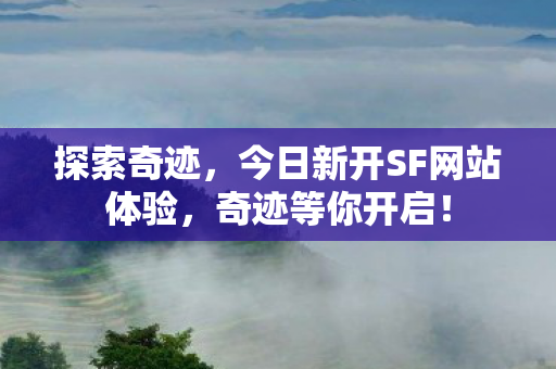 今日新开SF网站体验图片