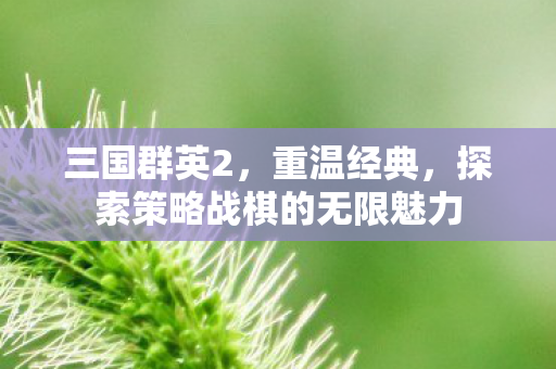 三国群英2，重温经典，探索策略战棋的无限魅力