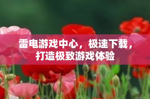 雷电游戏中心，极速下载，打造极致游戏体验