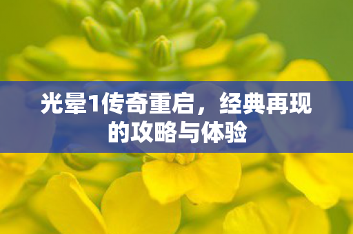 光晕1传奇重启，经典再现的攻略与体验
