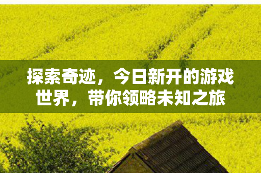 今日新开的游戏世界图片