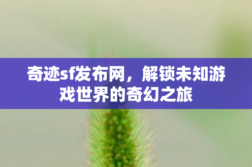 解锁未知游戏世界的奇幻之旅图片