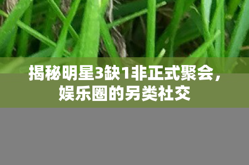 揭秘明星3缺1非正式聚会,娱乐圈的另类社交 揭秘明星3缺1非正式聚会,娱乐圈的另类社交