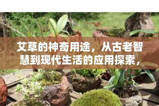 从古老智慧到现代生活的应用探索图片