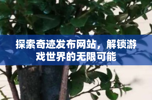 解锁游戏世界的无限可能图片