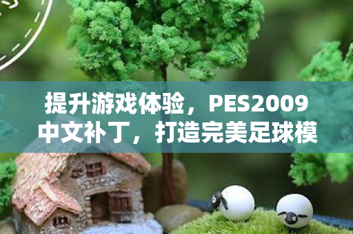 PES2009中文补丁图片