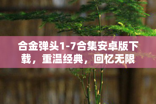 7合集安卓版下载图片