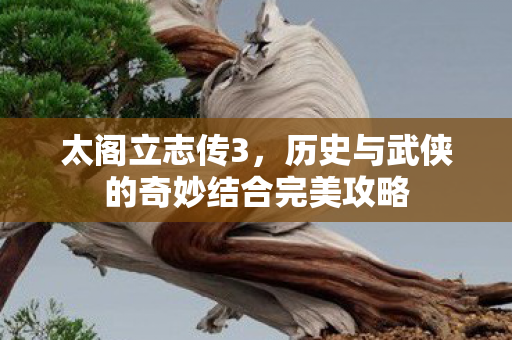 历史与武侠的奇妙结合完美攻略图片
