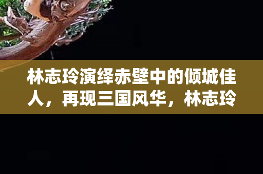 林志玲演绎赤壁中的倾城佳人图片