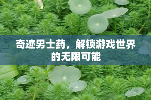 解锁游戏世界的无限可能图片