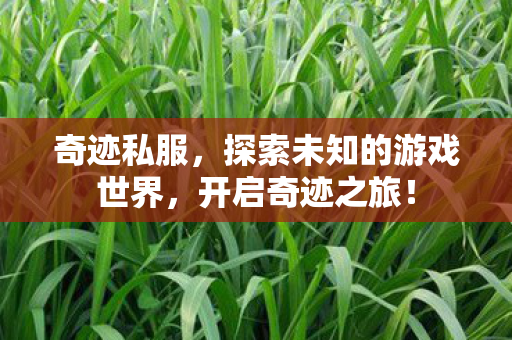探索未知的游戏世界图片