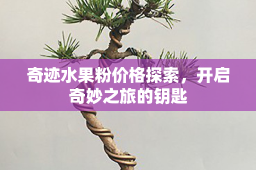 奇迹水果粉价格探索图片
