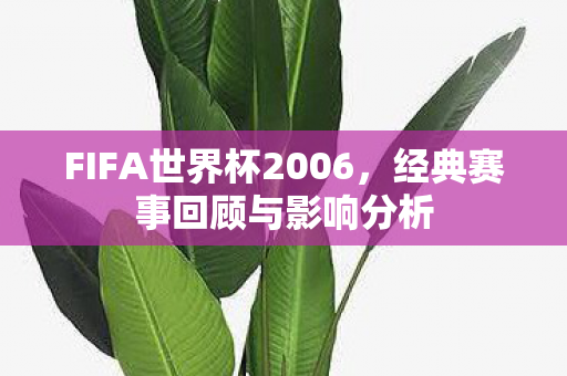 FIFA世界杯2006图片