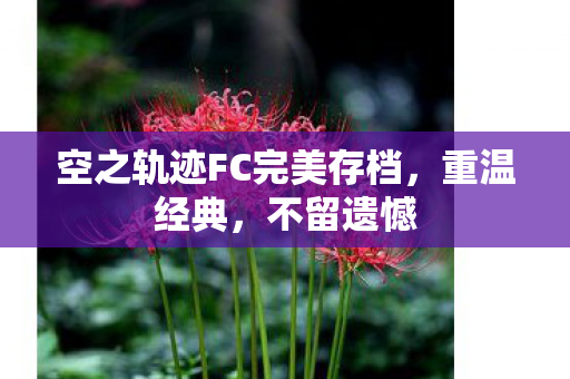 空之轨迹FC完美存档图片