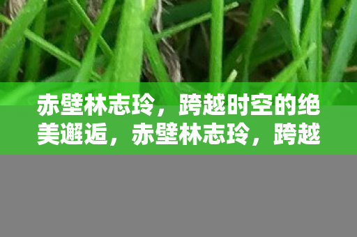 跨越时空的绝美邂逅图片