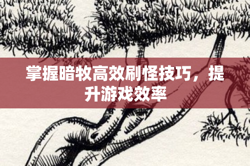 掌握暗牧高效刷怪技巧，提升游戏效率