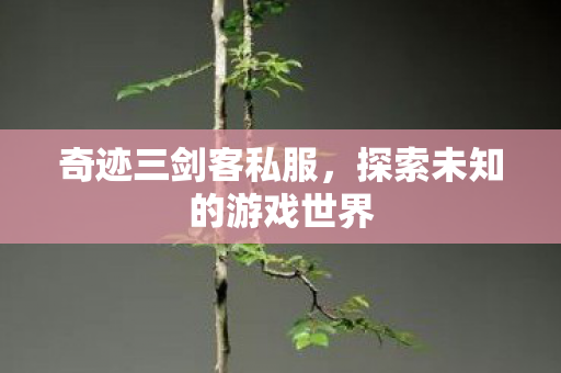 探索未知的游戏世界图片