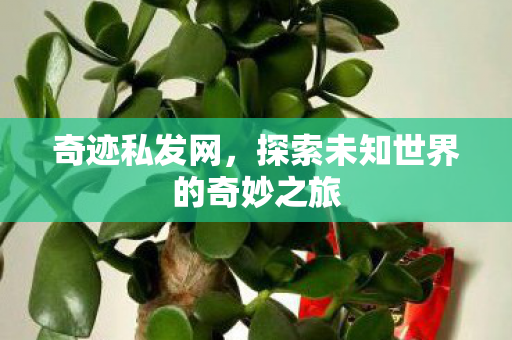 探索未知世界的奇妙之旅图片