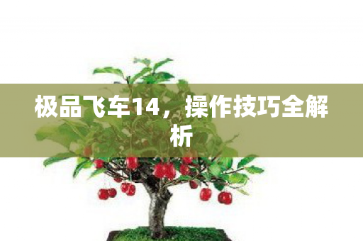 极品飞车14,操作技巧全解析 极品飞车14,操作技巧全解析