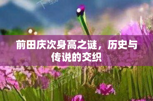 前田庆次身高之谜图片