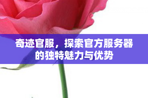 探索官方服务器的独特魅力与优势图片