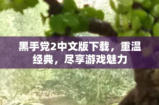 黑手党2中文版下载,重温经典,尽享游戏魅力 黑手党2中文版下载,重温经典,尽享游戏魅力