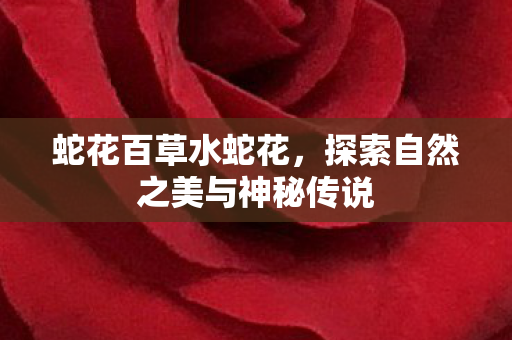 蛇花百草水蛇花,探索自然之美与神秘传说 蛇花百草水蛇花,探索自然之美与神秘传说