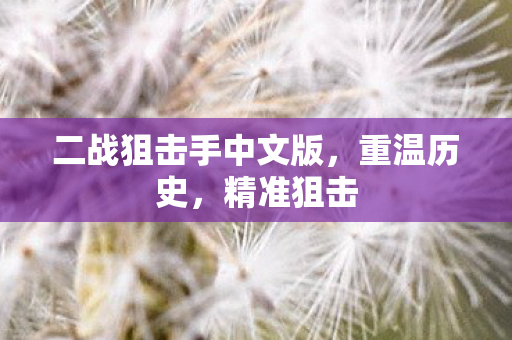 二战狙击手中文版图片