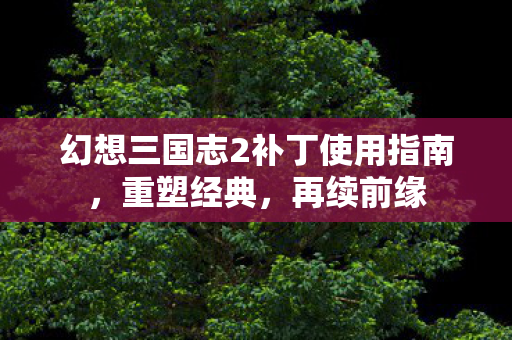 幻想三国志2补丁使用指南图片